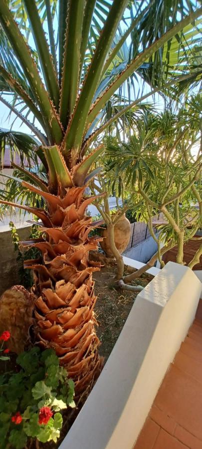 La Casa Al Mare Vulcano Вулкано Екстериор снимка